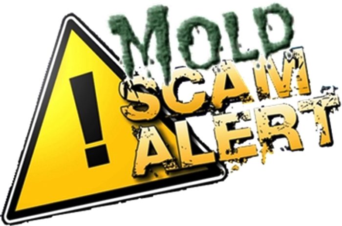 mold scam