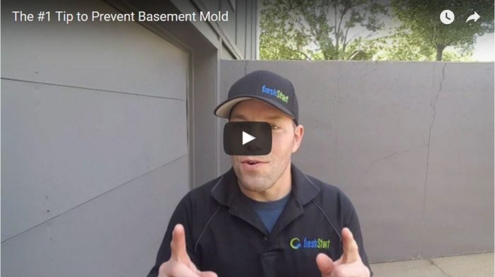 prevent basement mold
