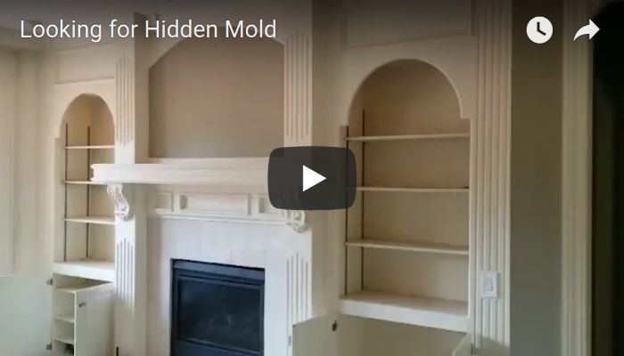 looking for Hidden Mold Video