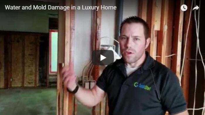 water and mold damage luxury homes
