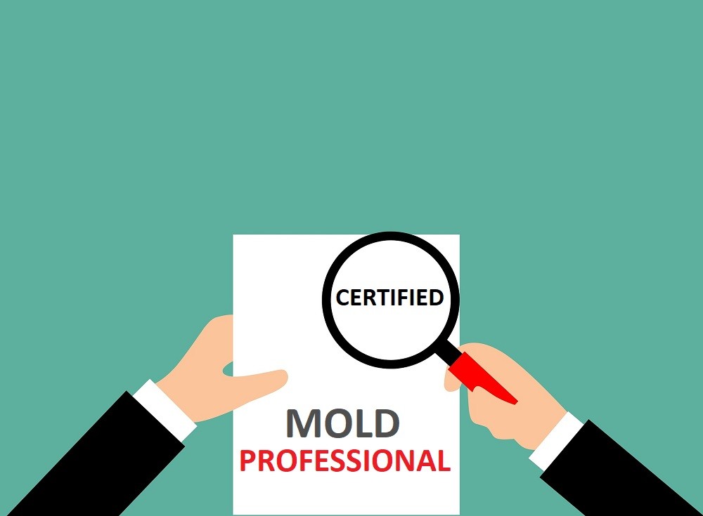 certified professional mold services