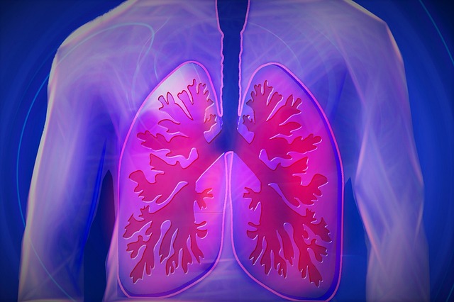The Lungs' Vulnerability to mold