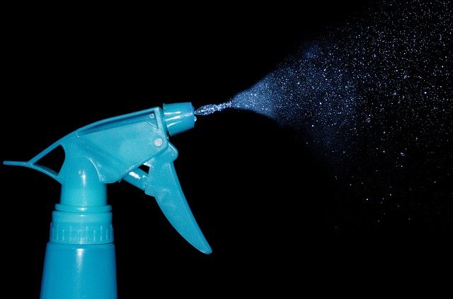 Killing Mold with Household Cleaners