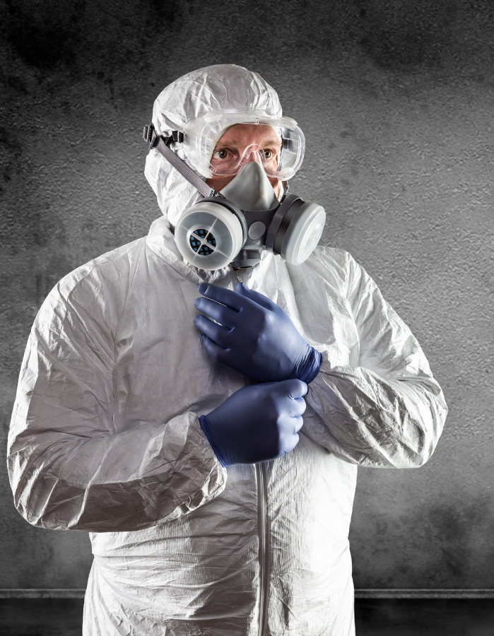 toxic mold removal